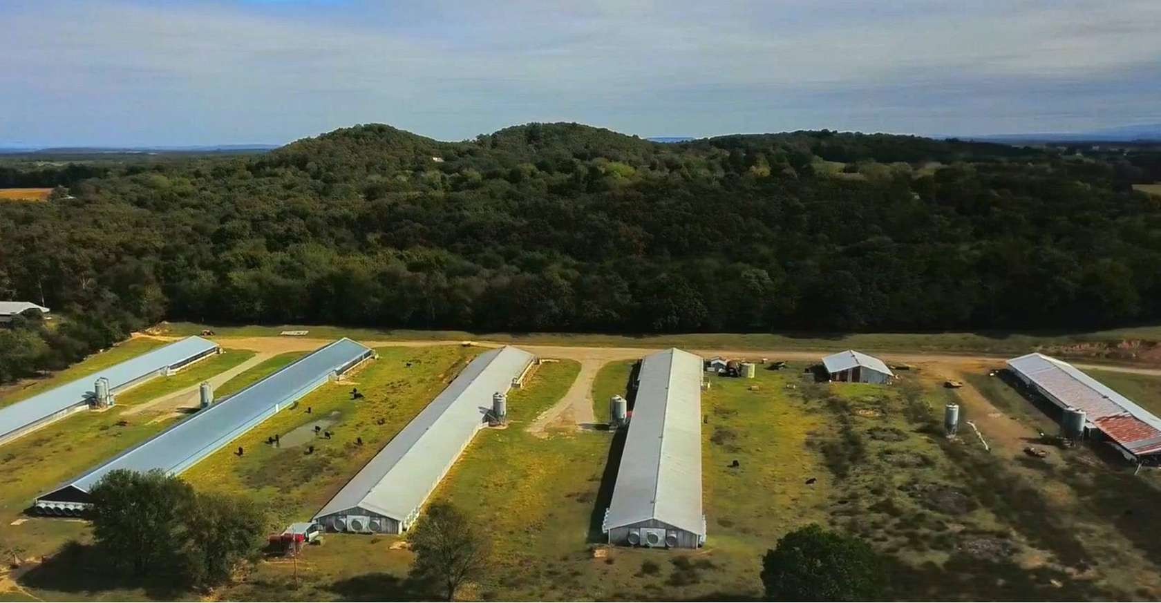 60 Acres of Improved Agricultural Land for Sale in Charleston, Arkansas