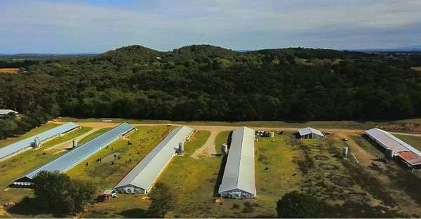 60 Acres of Improved Agricultural Land for Sale in Charleston, Arkansas