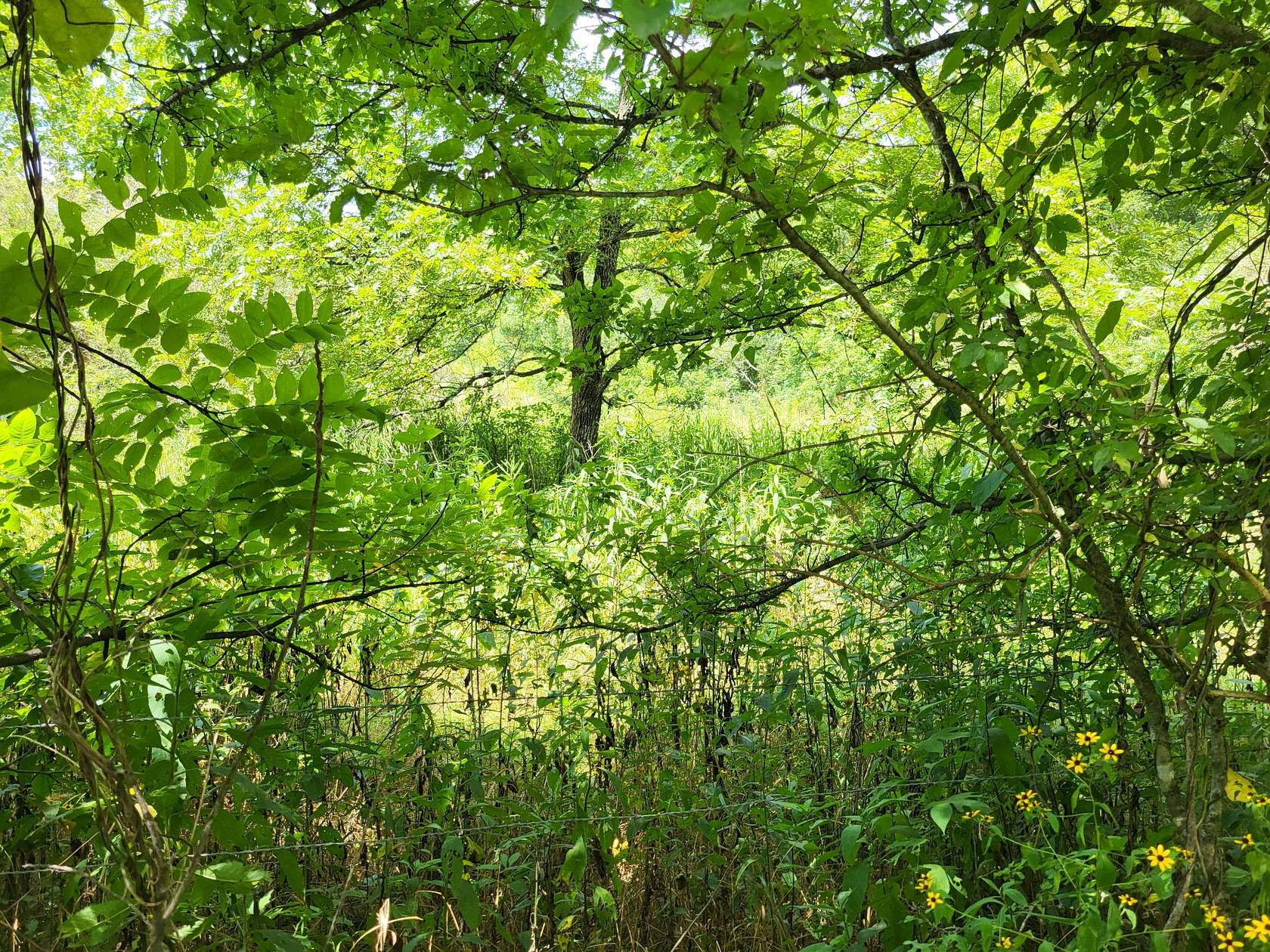 0.8 Acres of Residential Land for Sale in Memphis, Tennessee