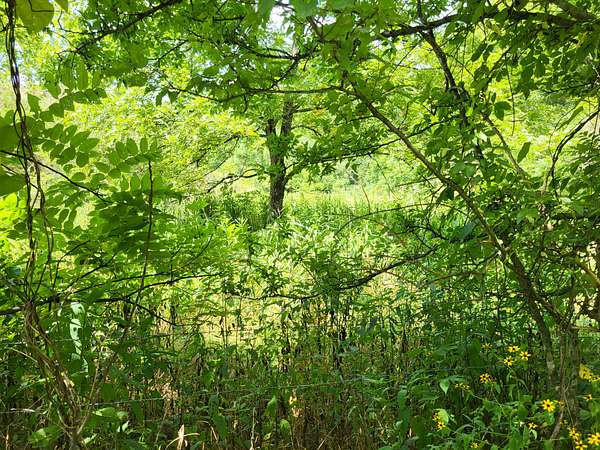 0.8 Acres of Residential Land for Sale in Memphis, Tennessee