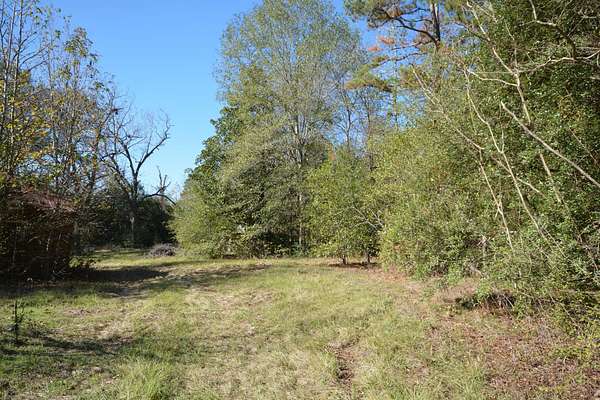 18 Acres of Recreational Land & Farm for Sale in Grapeland, Texas