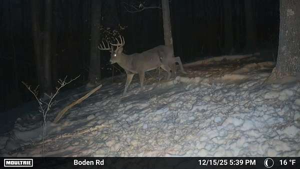 133 Acres of Recreational Land & Farm for Auction in Cambridge, Ohio