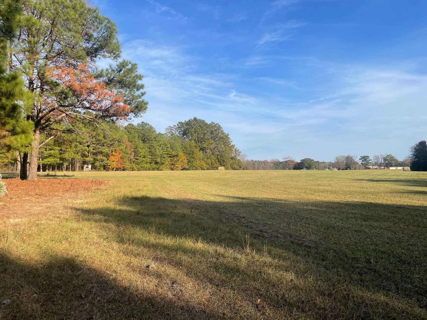 62 Acres of Land for Sale in Selma, Alabama