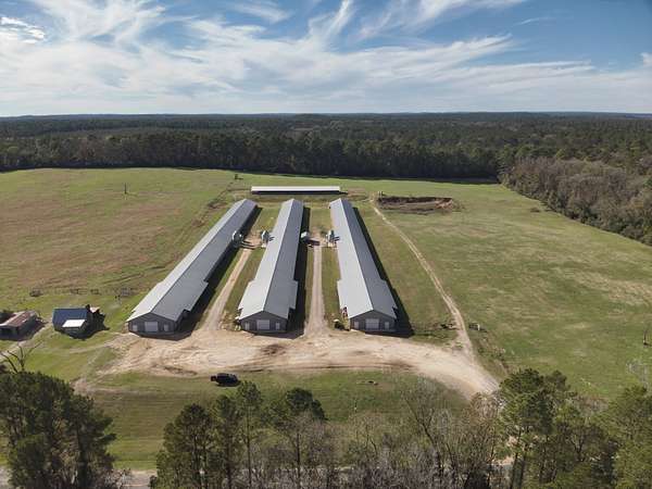 11 Acres of Land for Sale in Goldonna, Louisiana