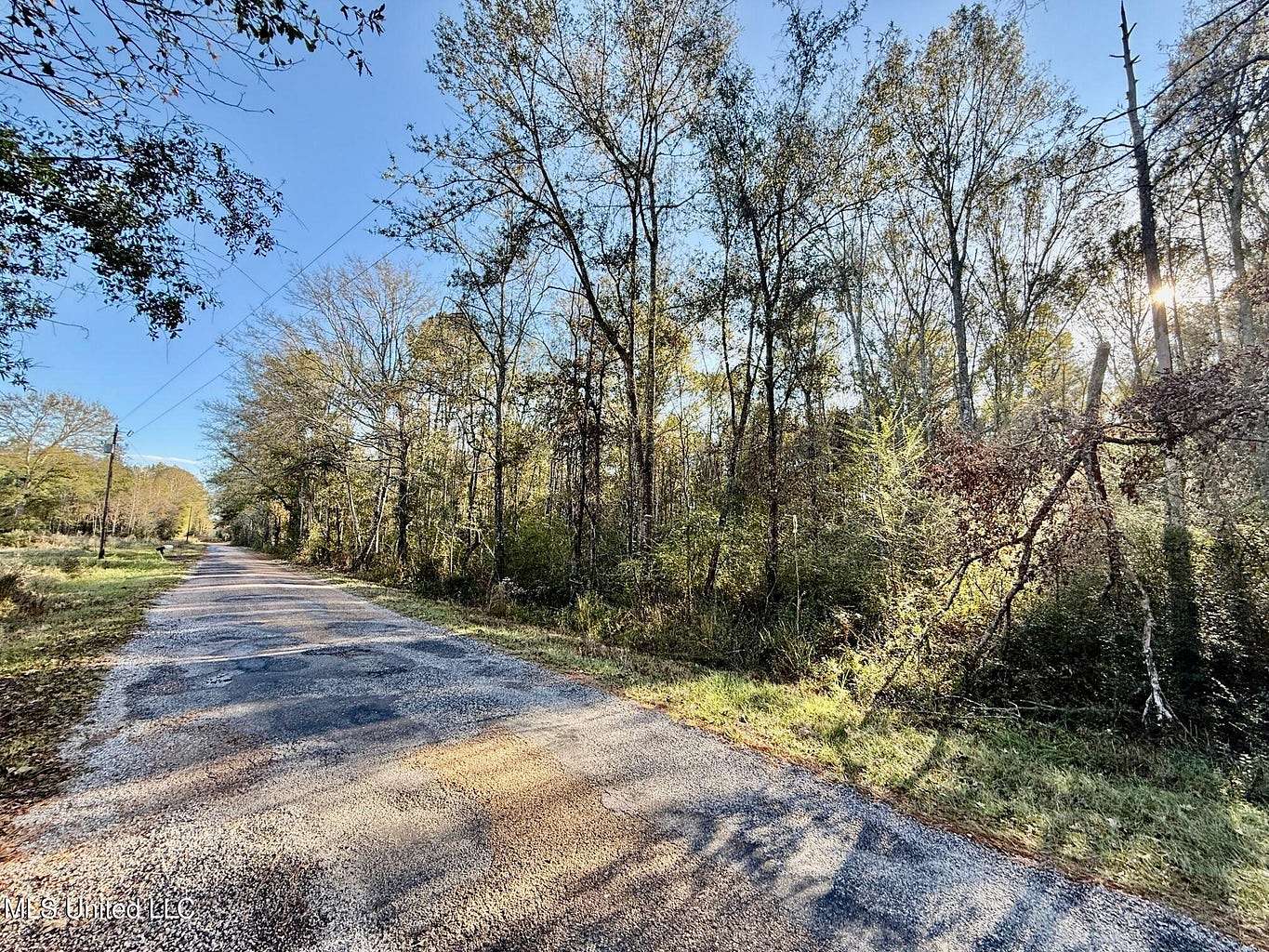 20 Acres of Land for Sale in Smithdale, Mississippi