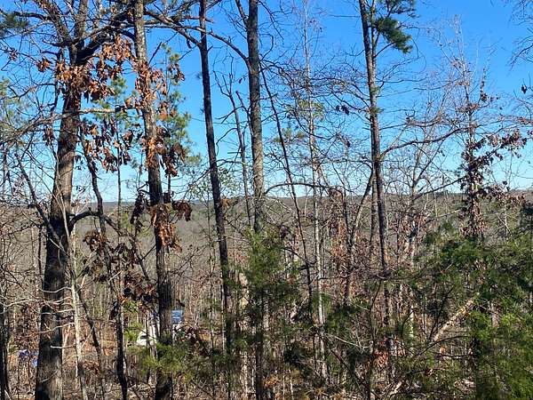 20 Acres of Recreational Land & Farm for Sale in Dolph, Arkansas