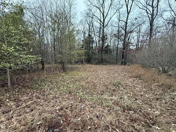 Land for Sale in Vernon, Alabama