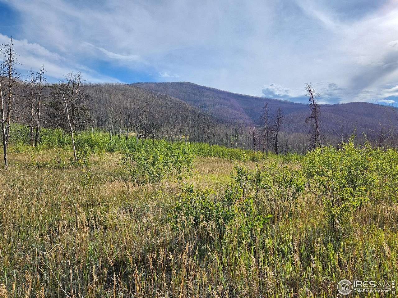 4 Acres of Residential Land for Sale in Bellvue, Colorado