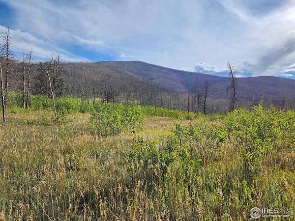 4 Acres of Residential Land for Sale in Bellvue, Colorado