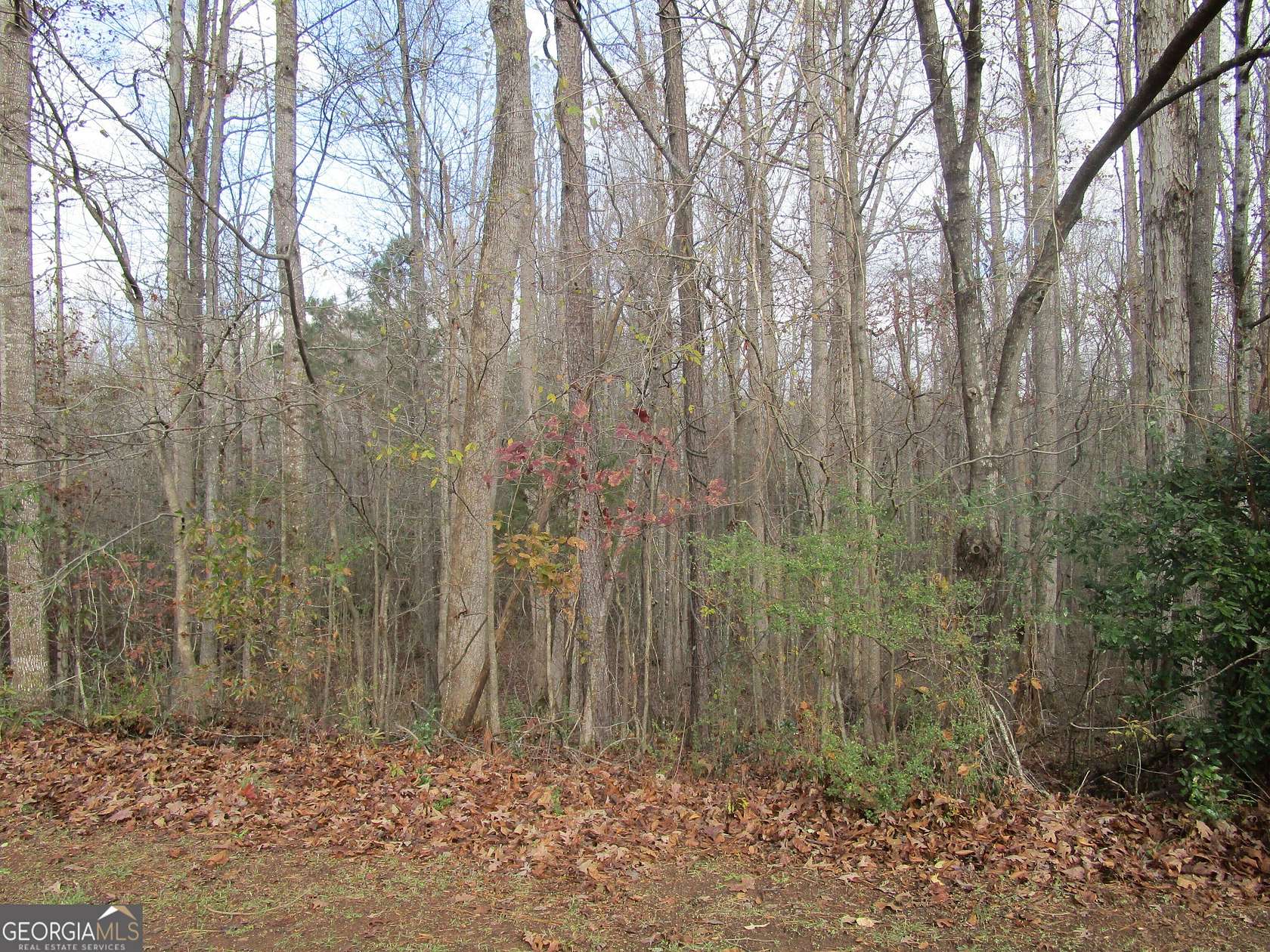1 Acre of Residential Land for Sale in Griffin, Georgia