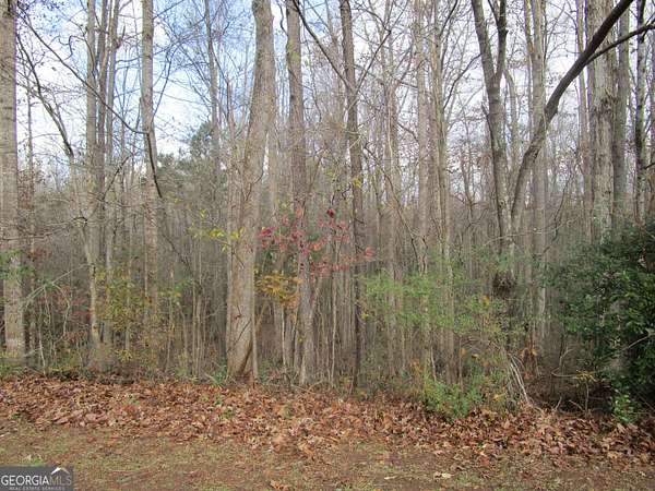 1 Acre of Residential Land for Sale in Griffin, Georgia
