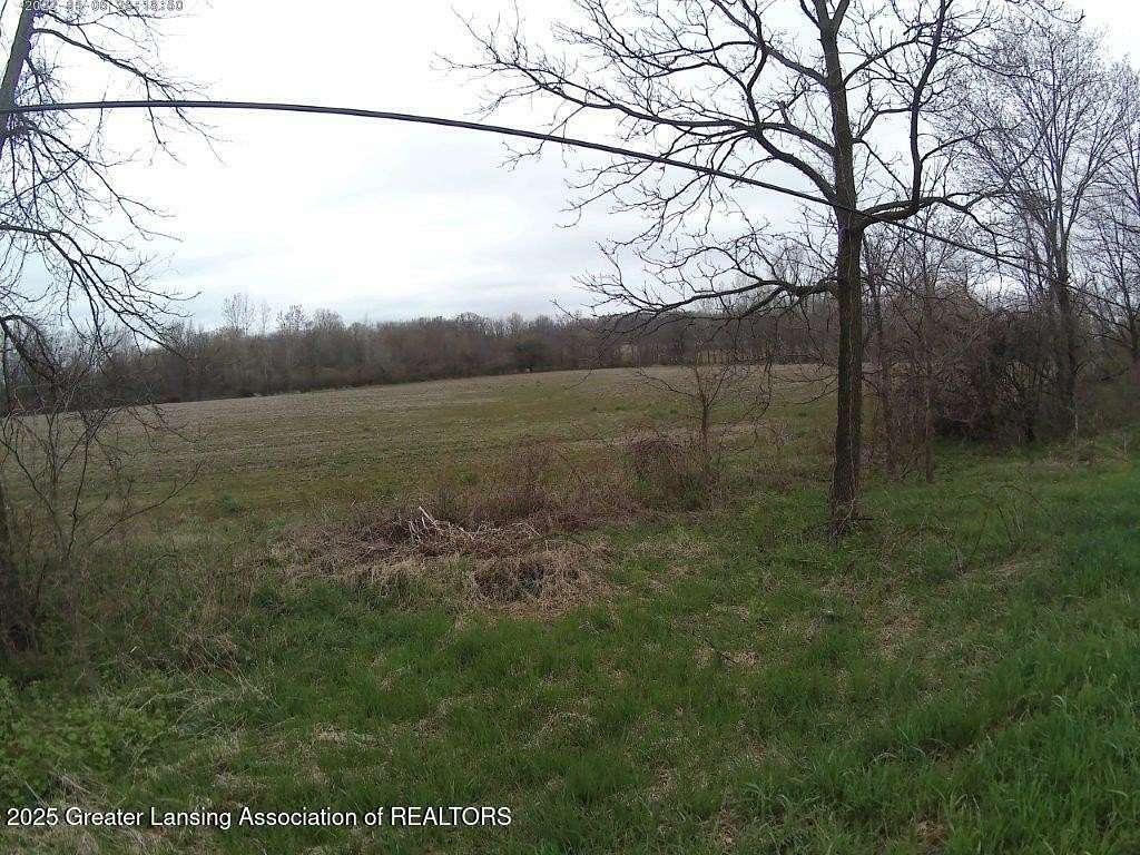 67.3 Acres of Agricultural Land for Sale in Leslie, Michigan