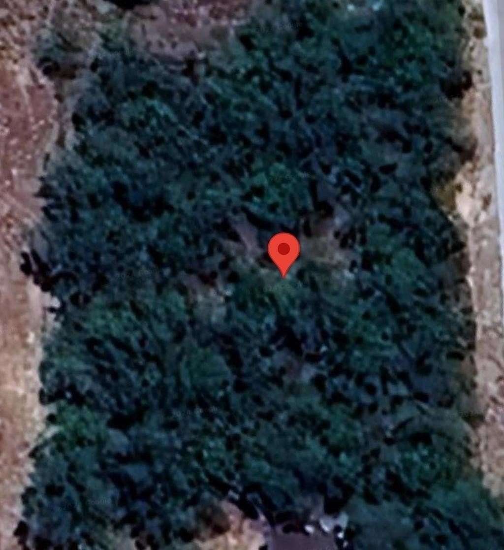 2 Acres of Residential Land for Sale in Falfurrias, Texas