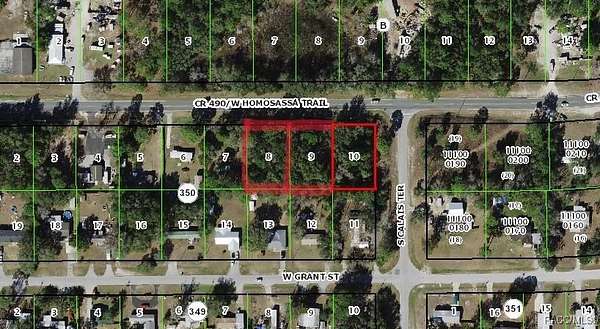 1 Acre of Residential Land for Sale in Homosassa, Florida