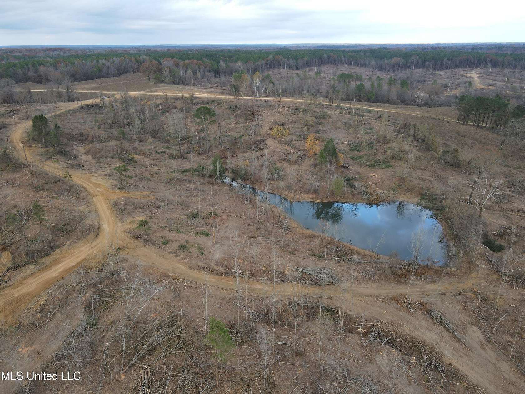 192 Acres of Land for Sale in Cascilla, Mississippi