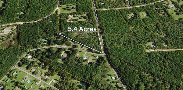 5.4 Acres of Residential Land for Sale in Madison, Florida