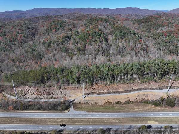 161 Acres of Land for Sale in Cherry Log, Georgia