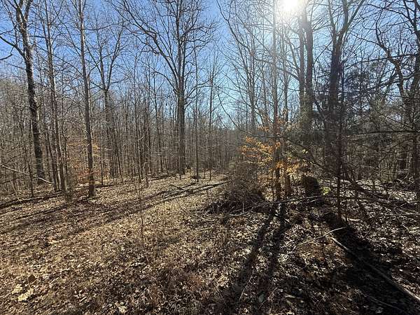 2.8 Acres of Residential Land for Sale in Indian Mound, Tennessee