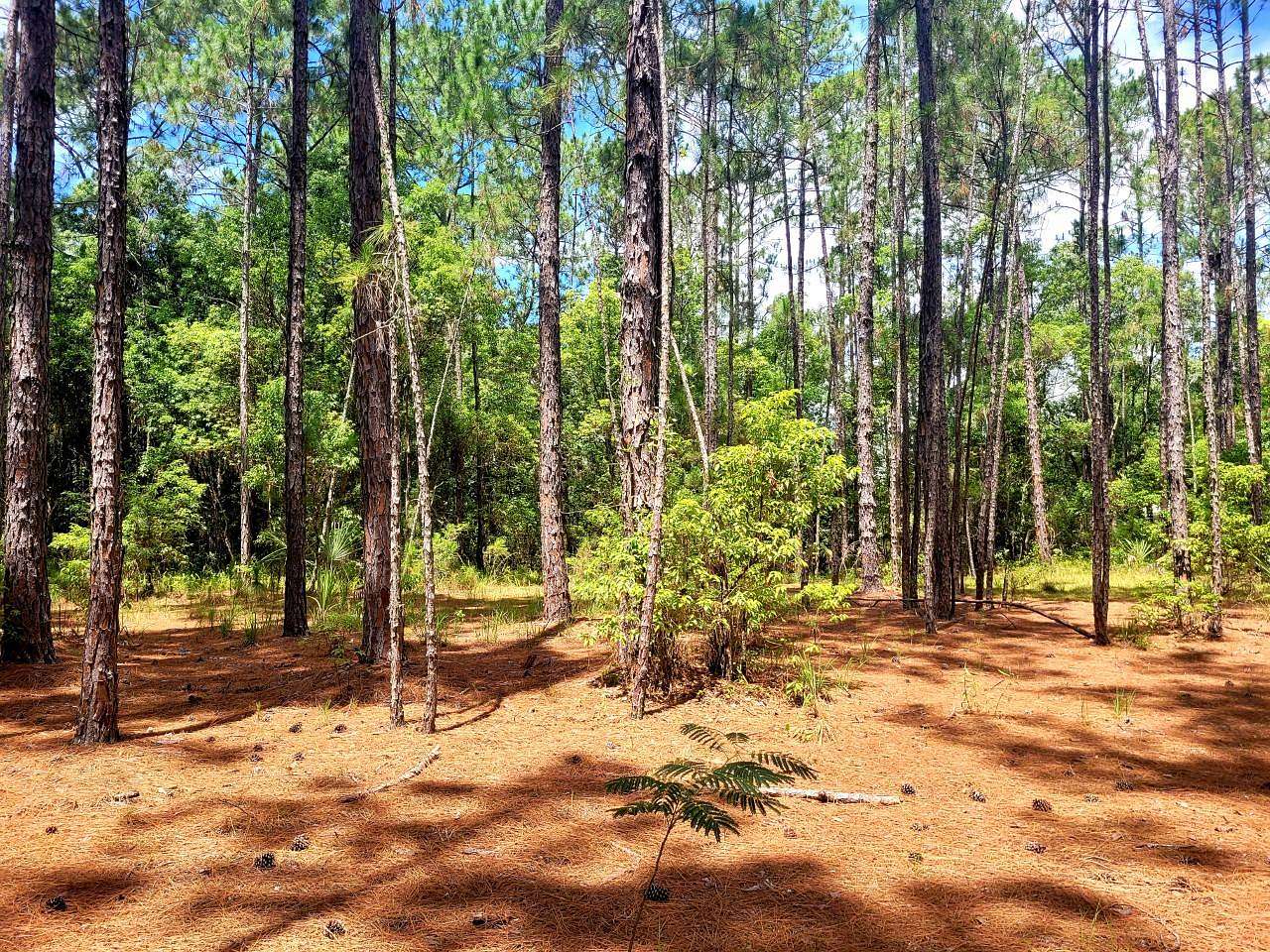 4 Acres of Residential Land for Sale in Eustis, Florida
