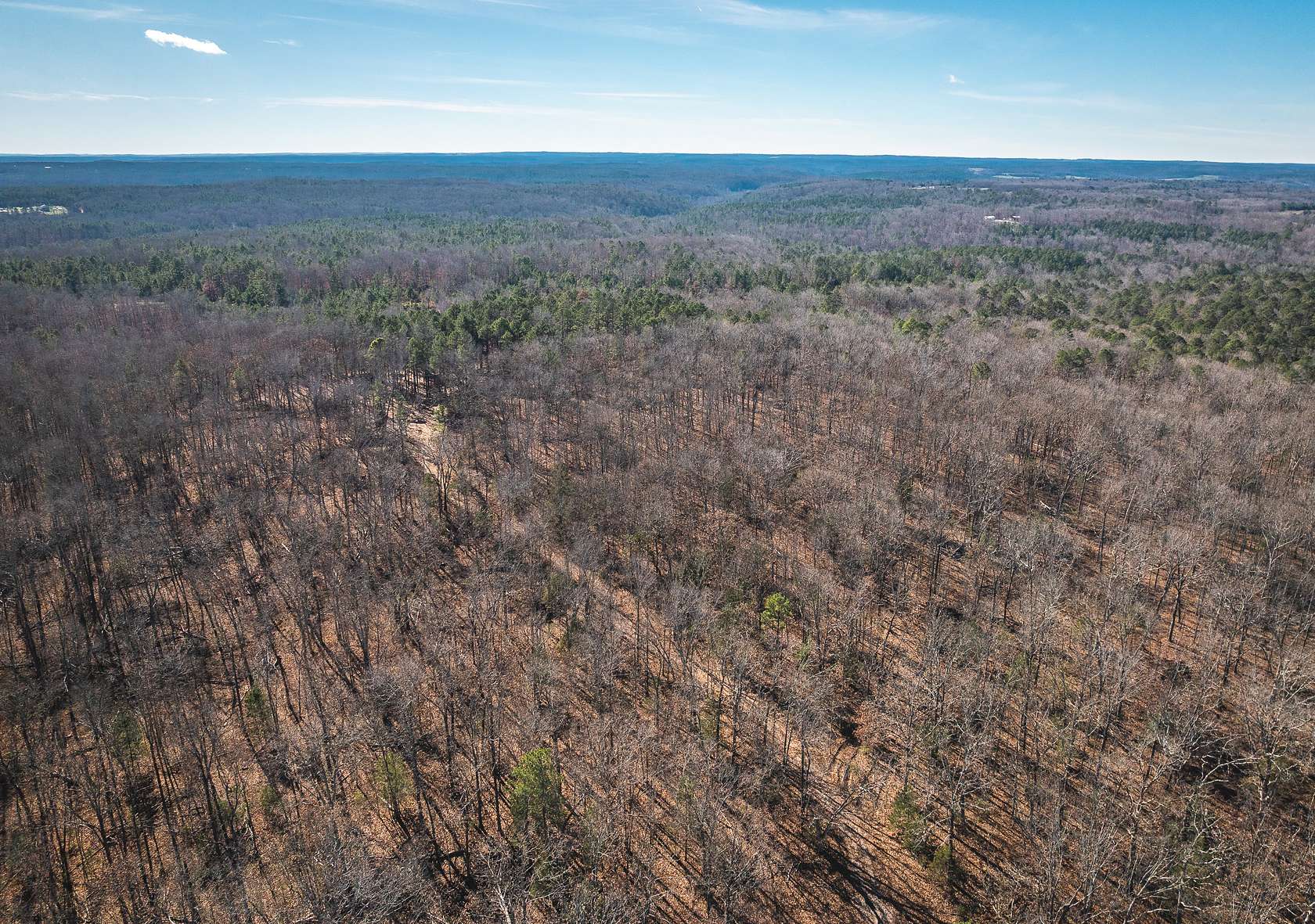 74.1 Acres of Recreational Land & Farm for Sale in Licking, Missouri