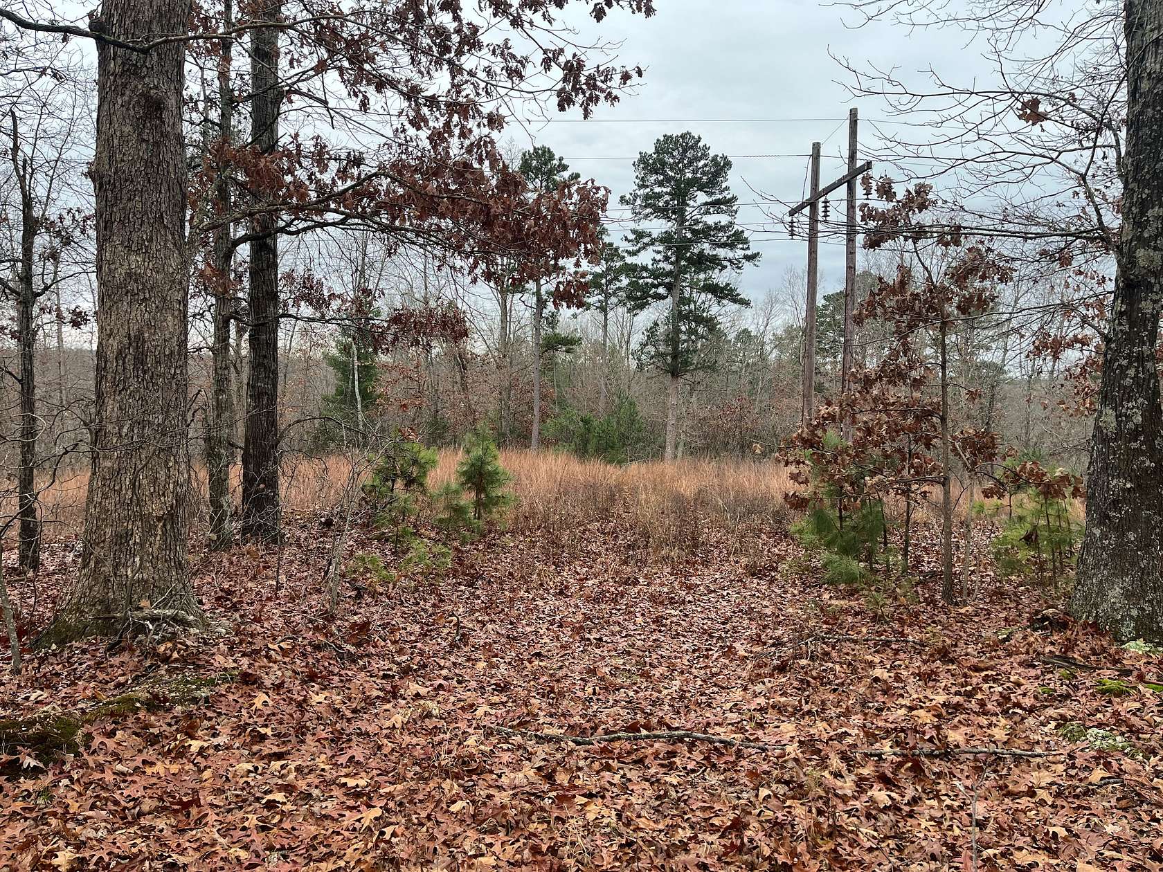 58.6 Acres of Recreational Land for Sale in Fredericktown, Missouri