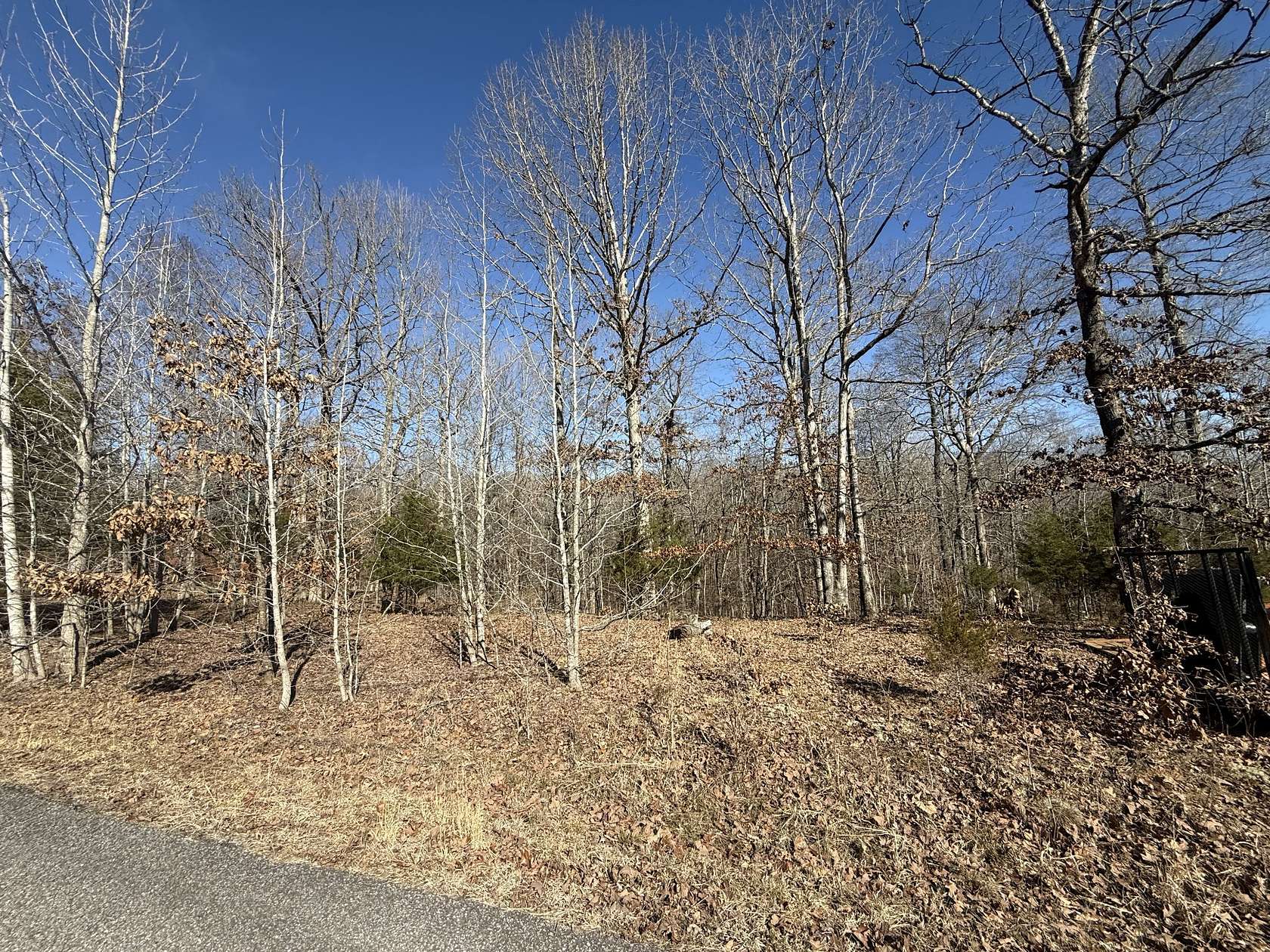 2 Acres of Residential Land for Sale in Indian Mound, Tennessee