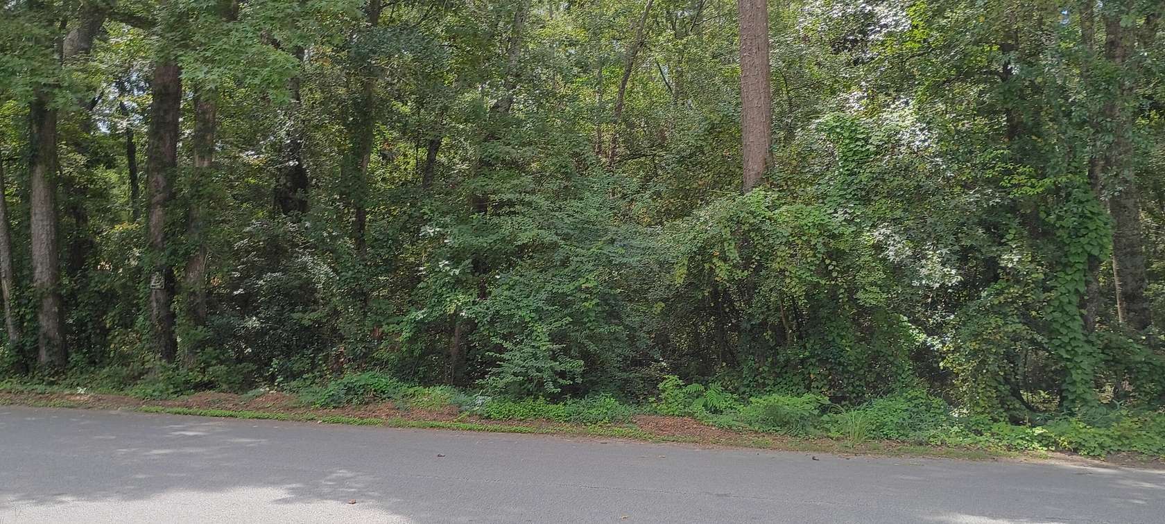0.79 Acres of Residential Land for Sale in Summerville, South Carolina
