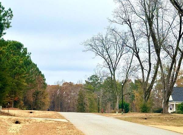 2 Acres of Land for Sale in Waverly Hall, Georgia