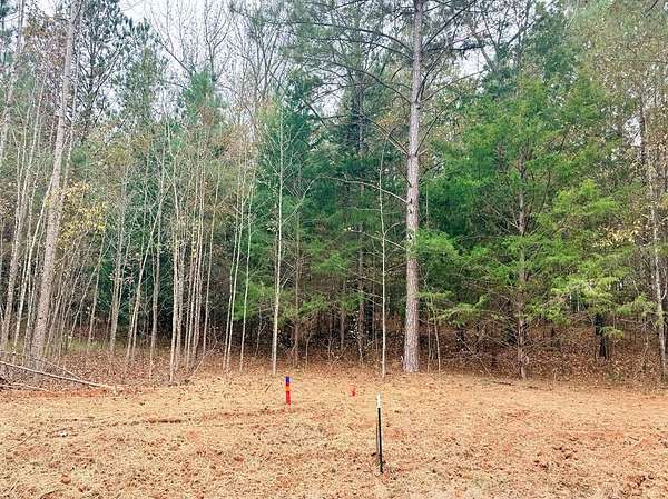 1 Acre of Land for Sale in Waverly Hall, Georgia