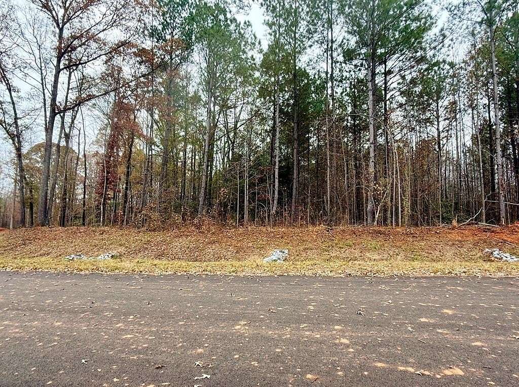 1 Acre of Land for Sale in Waverly Hall, Georgia