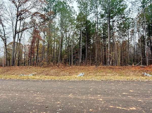 1 Acre of Land for Sale in Waverly Hall, Georgia