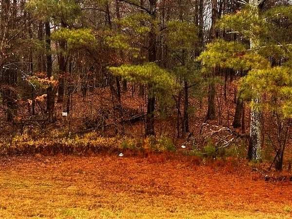 7.1 Acres of Land for Sale in Ellijay, Georgia