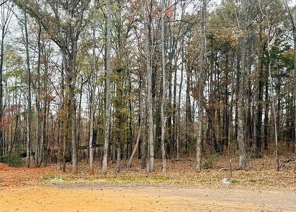 1 Acre of Land for Sale in Waverly Hall, Georgia