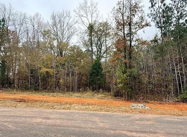 1 Acre of Land for Sale in Waverly Hall, Georgia