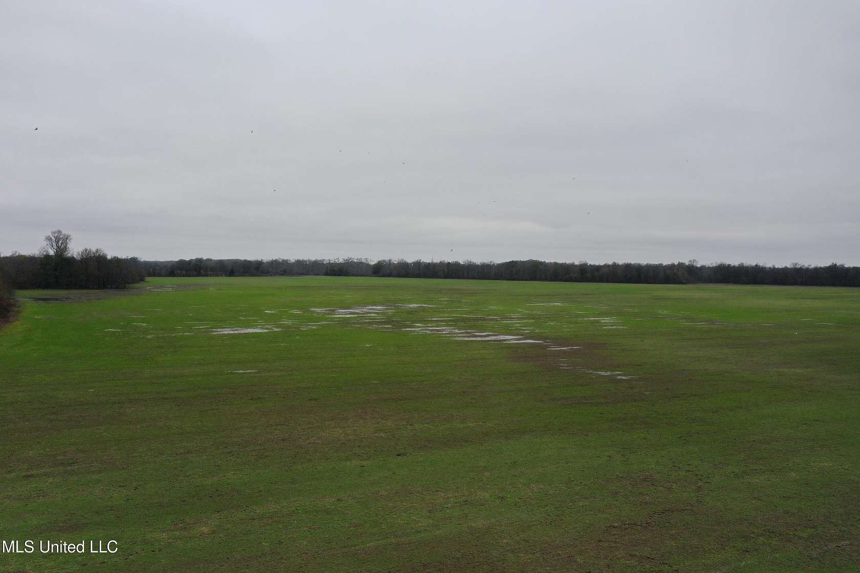 230 Acres of Recreational Land & Farm for Sale in Dundee, Mississippi