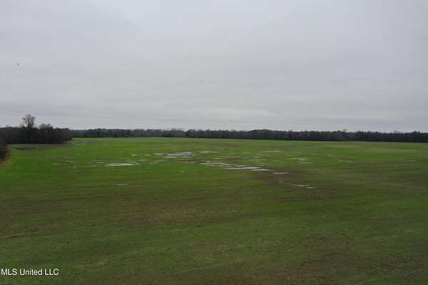 230 Acres of Recreational Land & Farm for Sale in Dundee, Mississippi