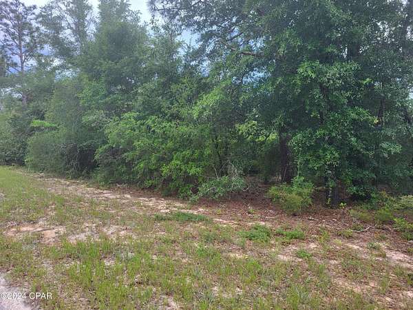 1.1 Acres of Land for Sale in Marianna, Florida