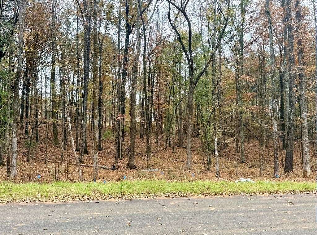 1 Acre of Land for Sale in Waverly Hall, Georgia
