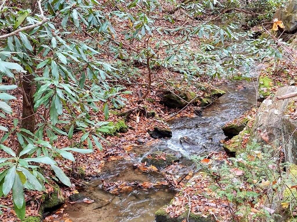 135 Acres of Recreational & Residential Land for Sale in Andrews, North Carolina