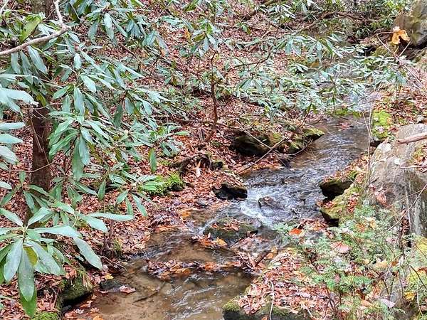 135 Acres of Recreational Land for Sale in Andrews, North Carolina