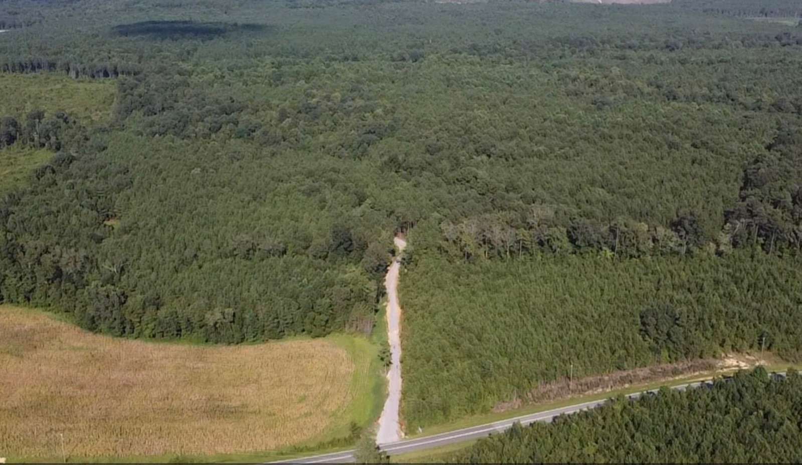 85 Acres of Recreational Land for Sale in Eagle Springs, North Carolina