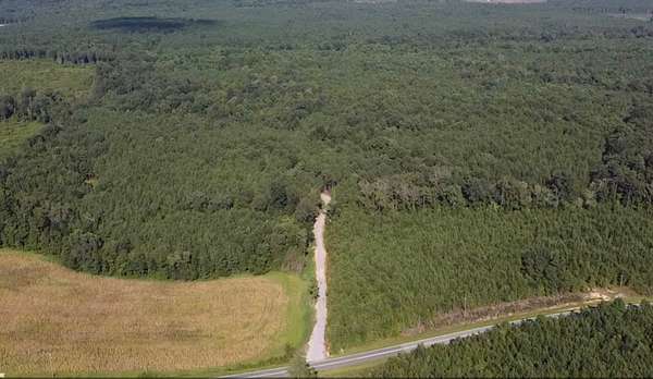 85 Acres of Recreational Land for Sale in Eagle Springs, North Carolina