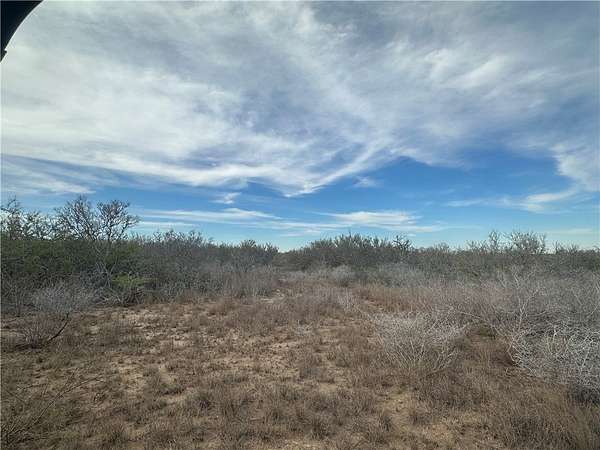 28.7 Acres of Land for Sale in Three Rivers, Texas