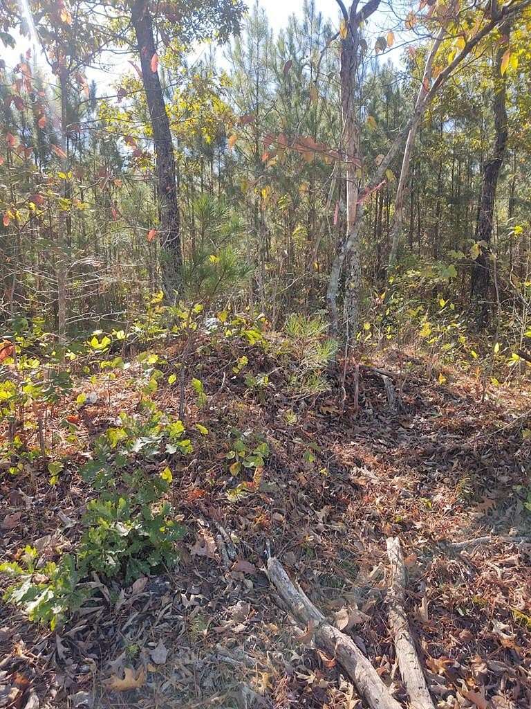 10 Acres of Agricultural Land for Sale in Rocky Face, Georgia
