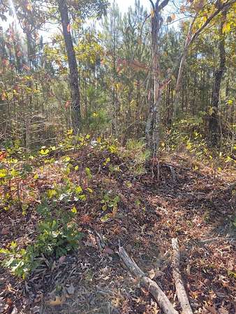 10 Acres of Agricultural Land for Sale in Rocky Face, Georgia