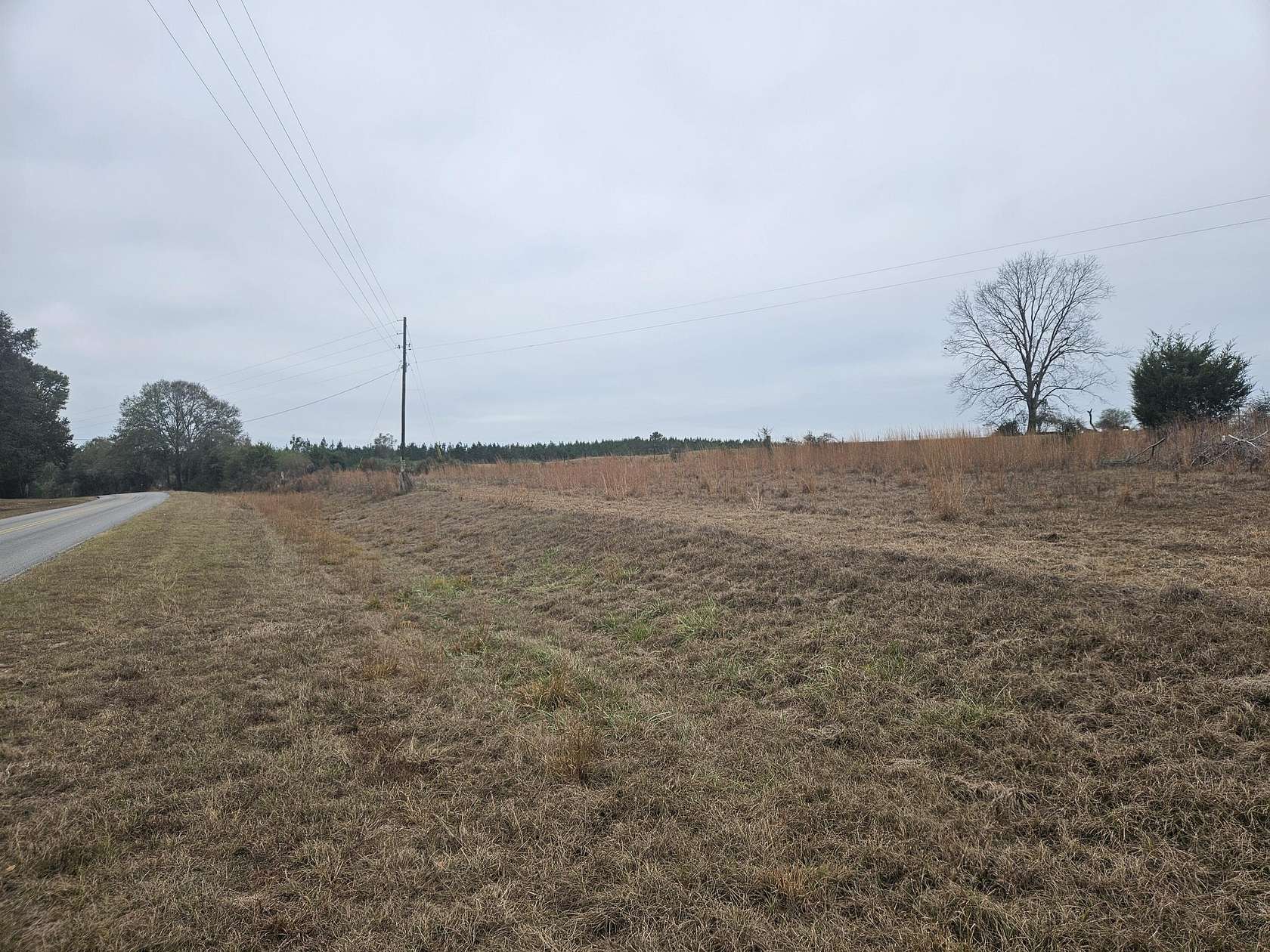 1.16 Acres of Residential Land for Sale in Florala, Alabama