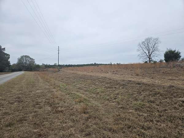 1.16 Acres of Residential Land for Sale in Florala, Alabama