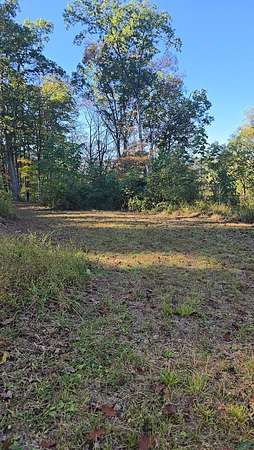 Residential Land for Sale in Jumping Branch, West Virginia
