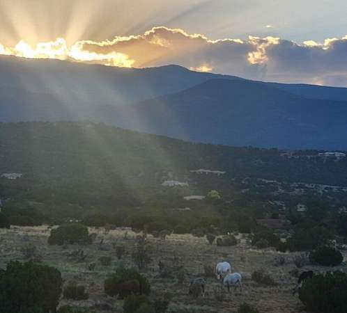 10 Acres of Land for Sale in Sandia Park, New Mexico