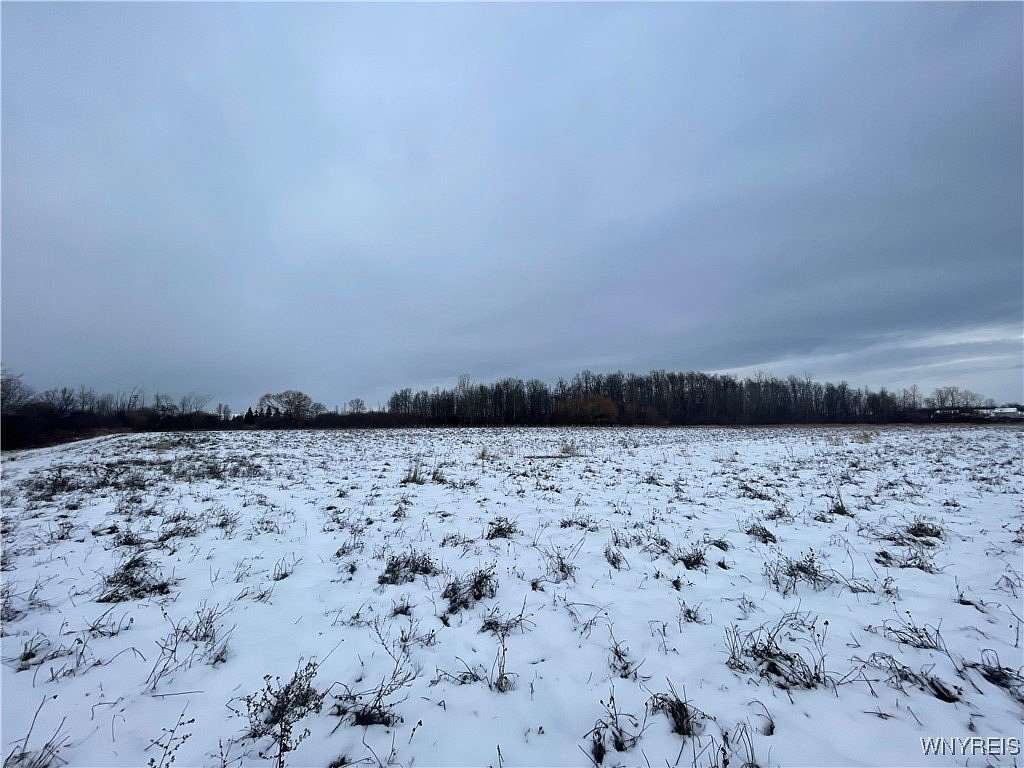 27.9 Acres of Land for Sale in Lancaster, New York